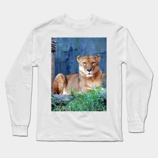 Lioness Long Sleeve T-Shirt